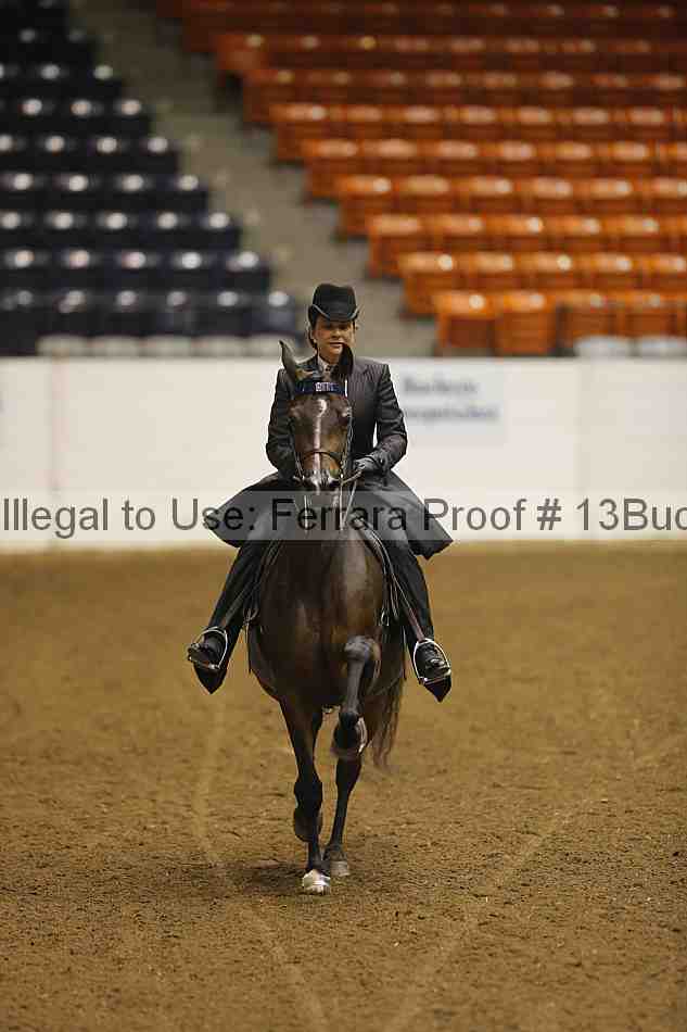 Proof 13buck_5392