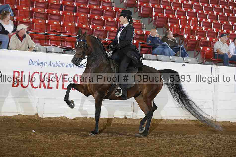 Proof 13buck_5393