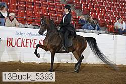 13buck_5393 proof