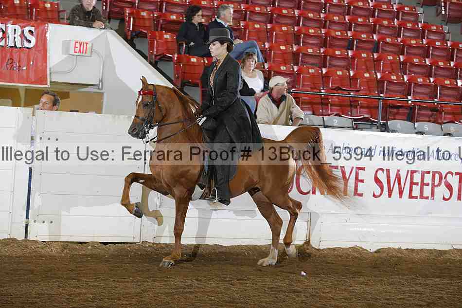 Proof 13buck_5394