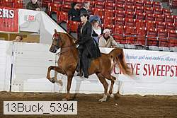 13buck_5394 proof