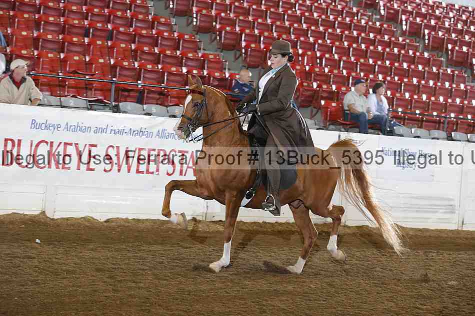 Proof 13buck_5395