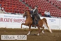 13buck_5395 proof