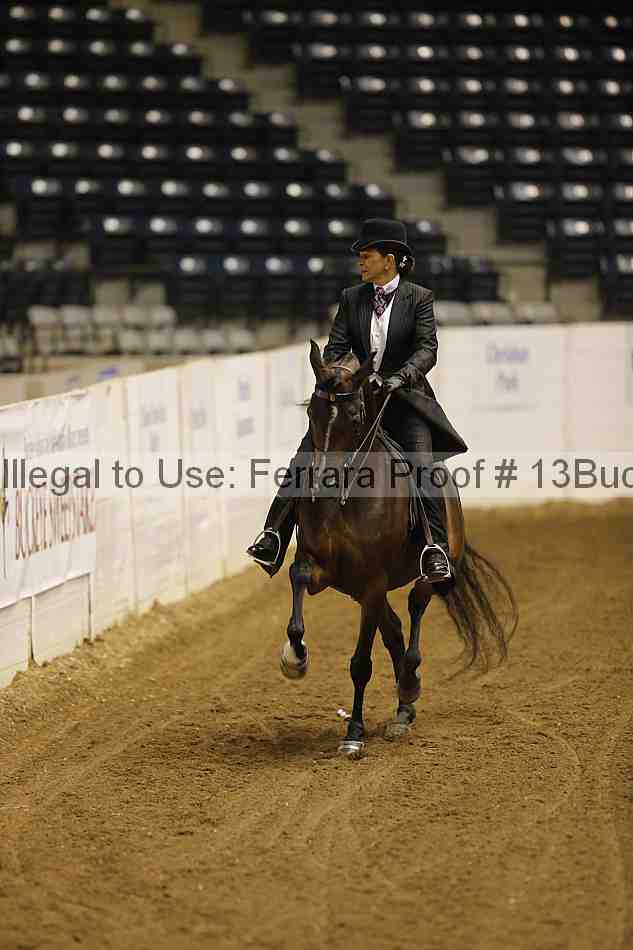 Proof 13buck_5396