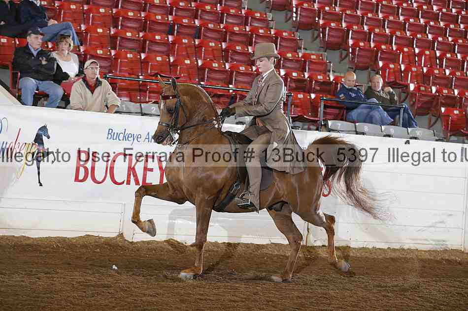 Proof 13buck_5397