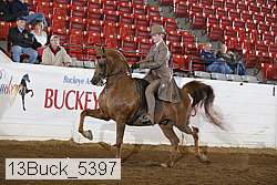13buck_5397 proof