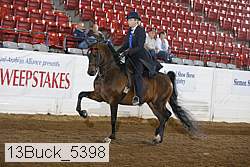 13buck_5398 proof