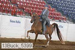 13buck_5399 proof
