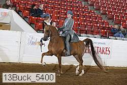 13buck_5400 proof