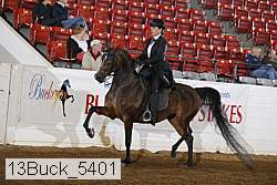 13buck_5401 proof