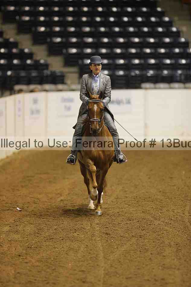 Proof 13buck_5402
