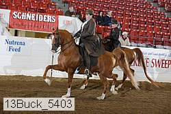 13buck_5403 proof