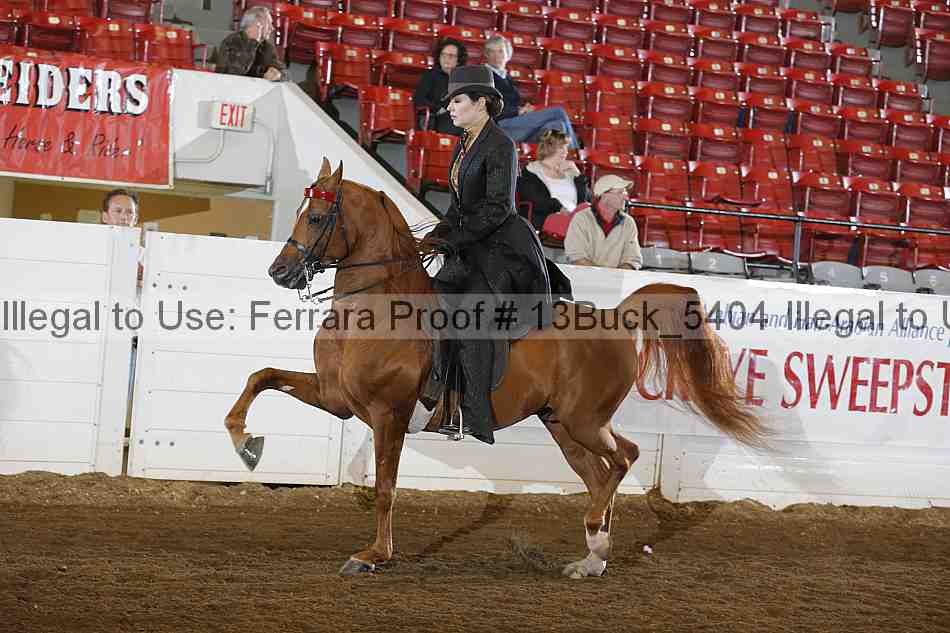 Proof 13buck_5404