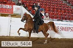 13buck_5404 proof