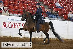 13buck_5406 proof
