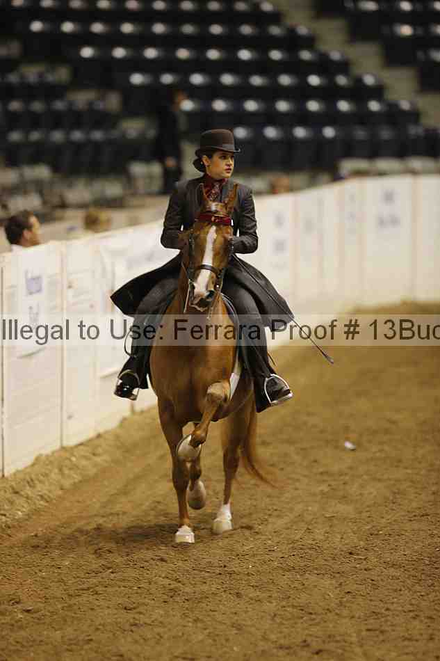 Proof 13buck_5407