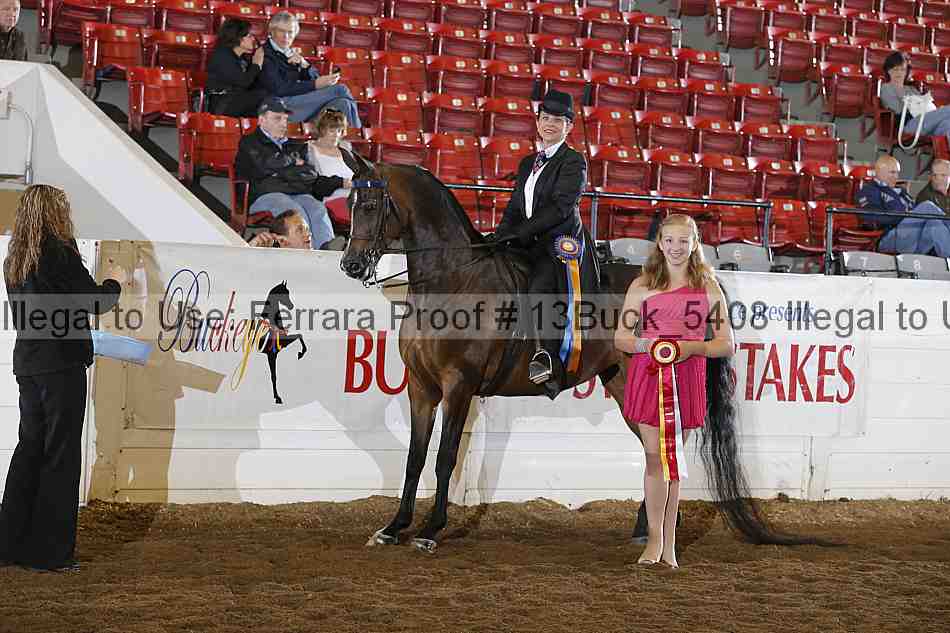 Proof 13buck_5408