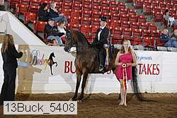 13buck_5408 proof