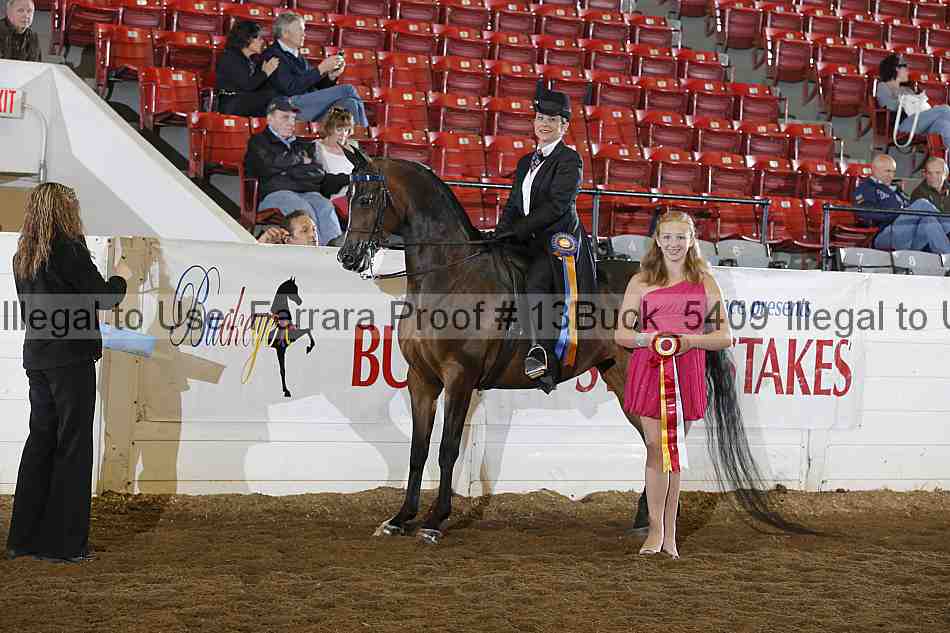 Proof 13buck_5409