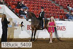 13buck_5409 proof