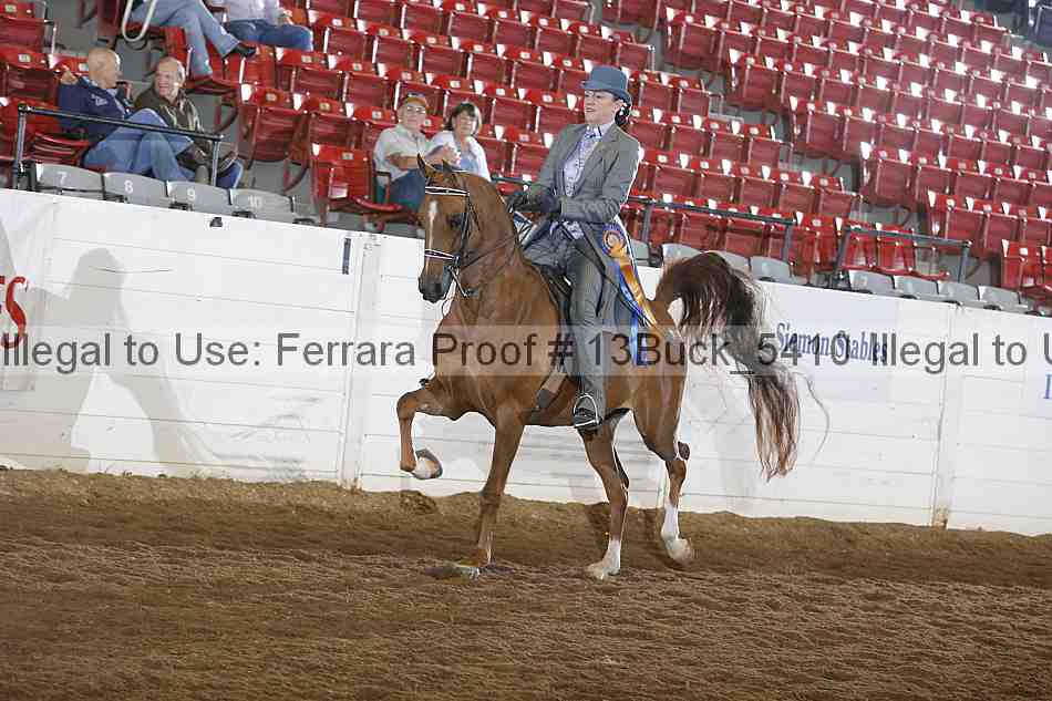 Proof 13buck_5410