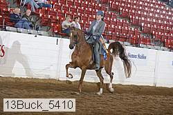 13buck_5410 proof