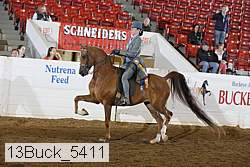 13buck_5411 proof