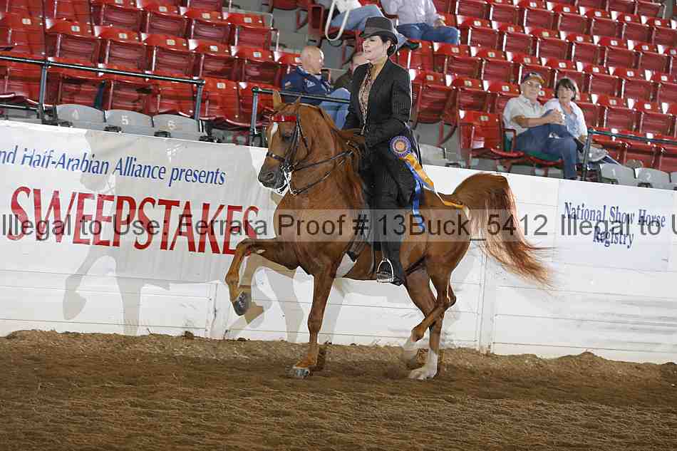 Proof 13buck_5412