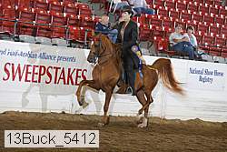 13buck_5412 proof
