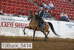 13buck_5414 proof