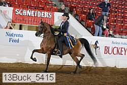 13buck_5415 proof