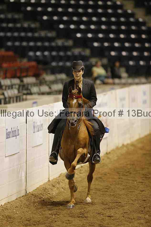 Proof 13buck_5416