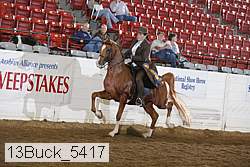 13buck_5417 proof