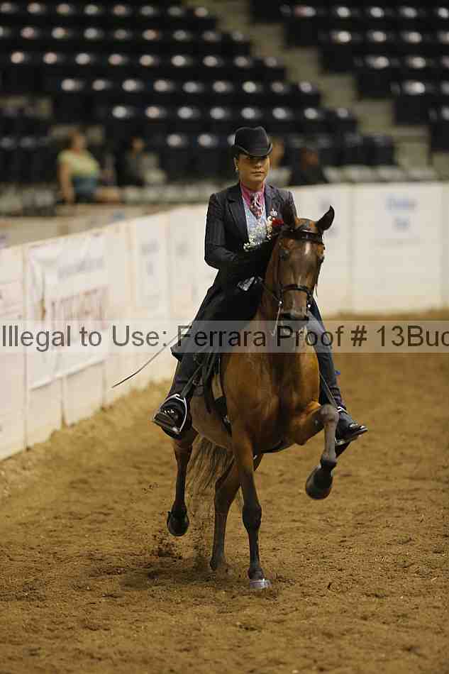 Proof 13buck_5418