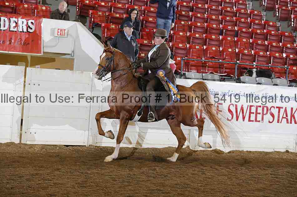 Proof 13buck_5419