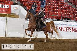 13buck_5419 proof