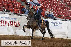 13buck_5420 proof