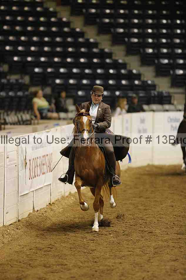 Proof 13buck_5421