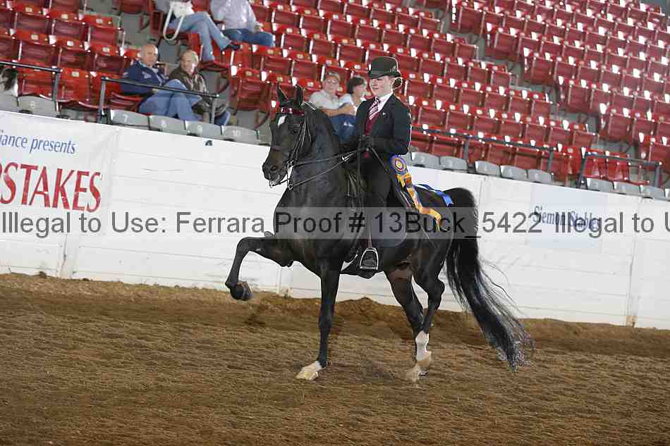 Proof 13buck_5422