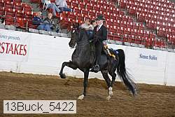 13buck_5422 proof