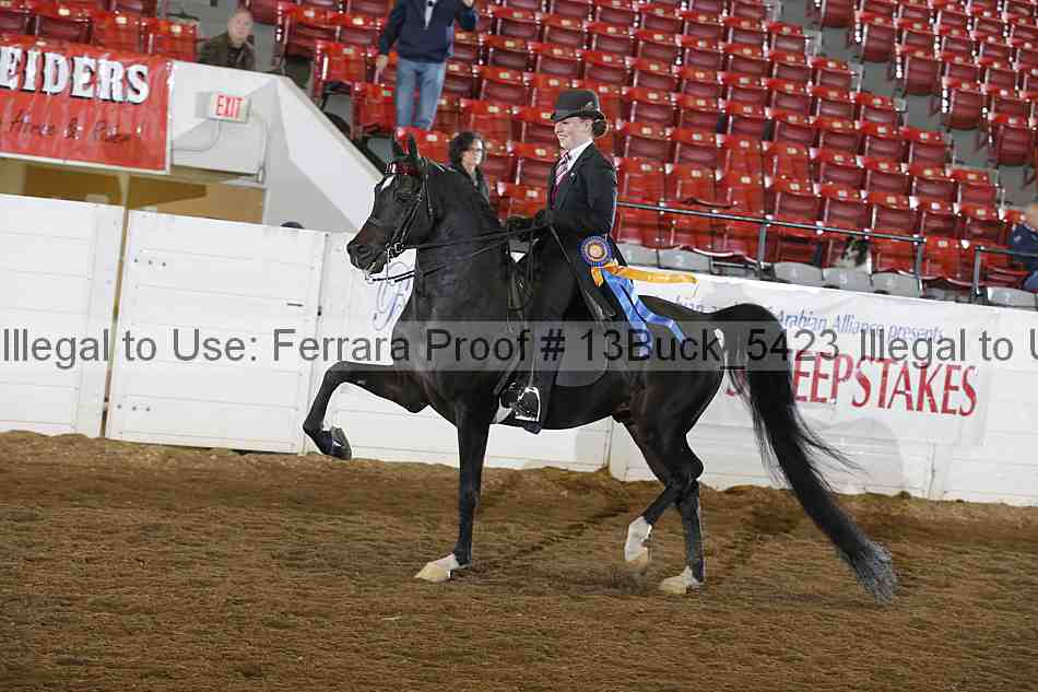 Proof 13buck_5423