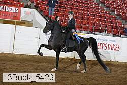 13buck_5423 proof