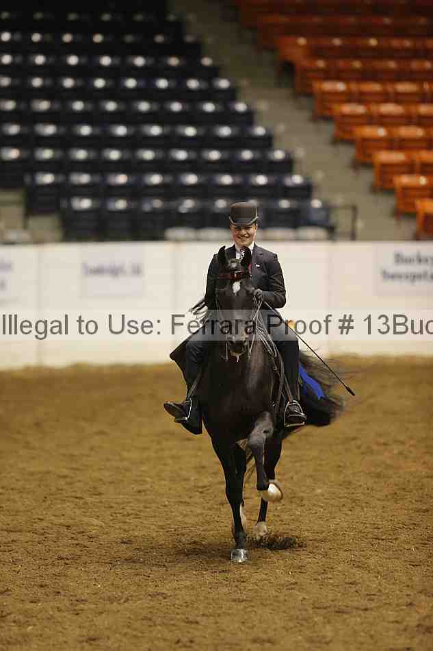 Proof 13buck_5425