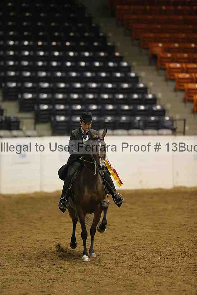 Proof 13buck_5426