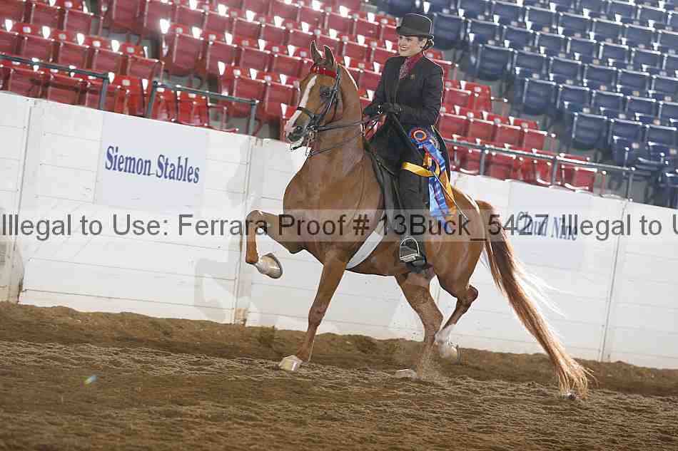 Proof 13buck_5427