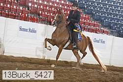 13buck_5427 proof