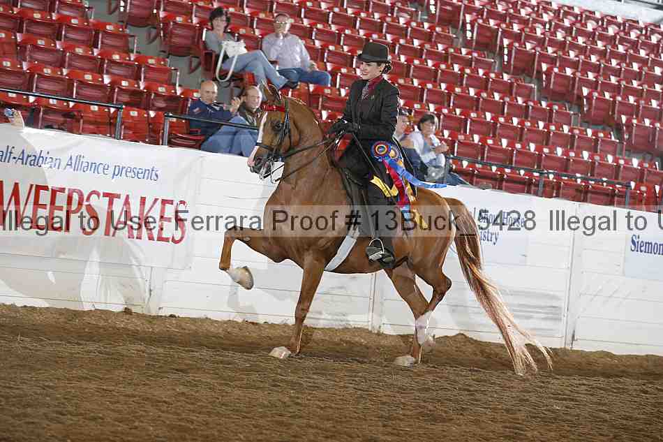 Proof 13buck_5428