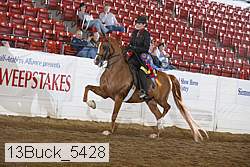 13buck_5428 proof
