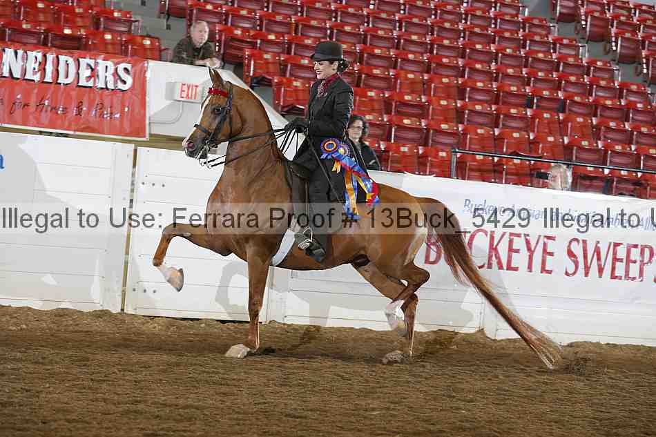 Proof 13buck_5429