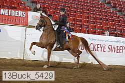 13buck_5429 proof